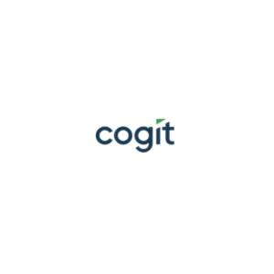 Kpi controlling - Usługi business intelligence - Cogit