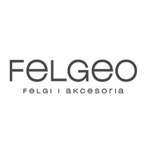 Programator do czujnikow cisnienia - Felgi stalowe - Felgeo